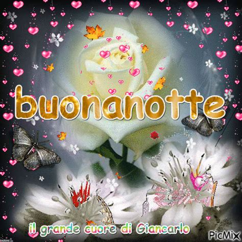 animate bello speciale buonanotte gif